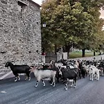 D'hôtes Couvent D'alando Couette-café