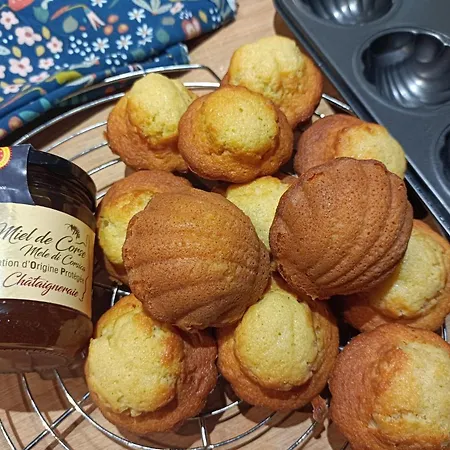 Alojamento de Acomodação e Pequeno-almoço D'hôtes Couvent D'alando