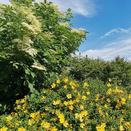 D'hotes Couvent D'alando