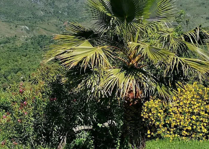 D'hotes Couvent D'alando 4*