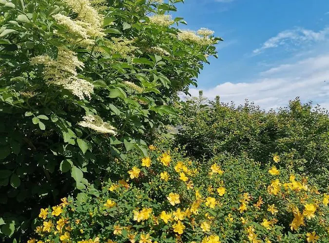 D'hotes Couvent D'alando