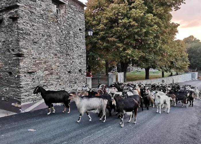 D'hotes Couvent D'alando Bed & Breakfast