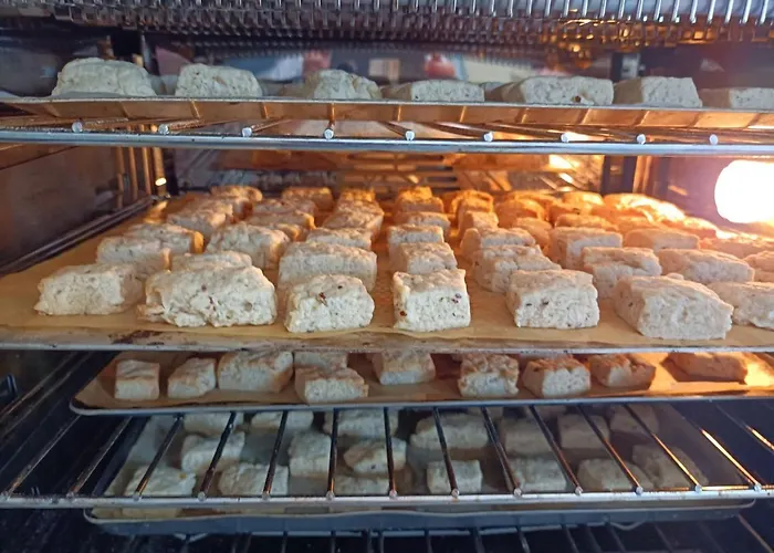 Bed & Breakfast D'hotes Couvent D'alando Alando